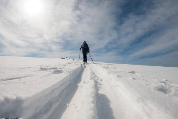 安吉体操培训机构发展动向与选择建议